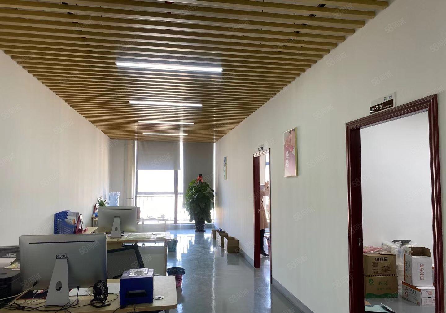 龙岗高桥低碳城新出1000平米精装修厂房出租