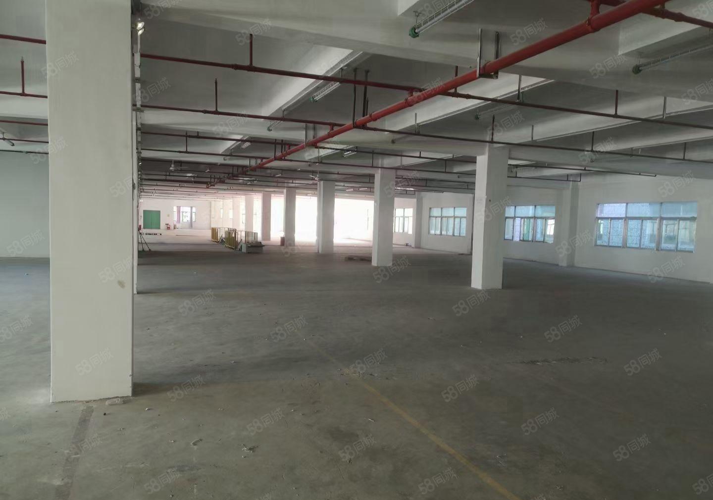 L龙岗宝龙科技园13元1600平出租，可分租