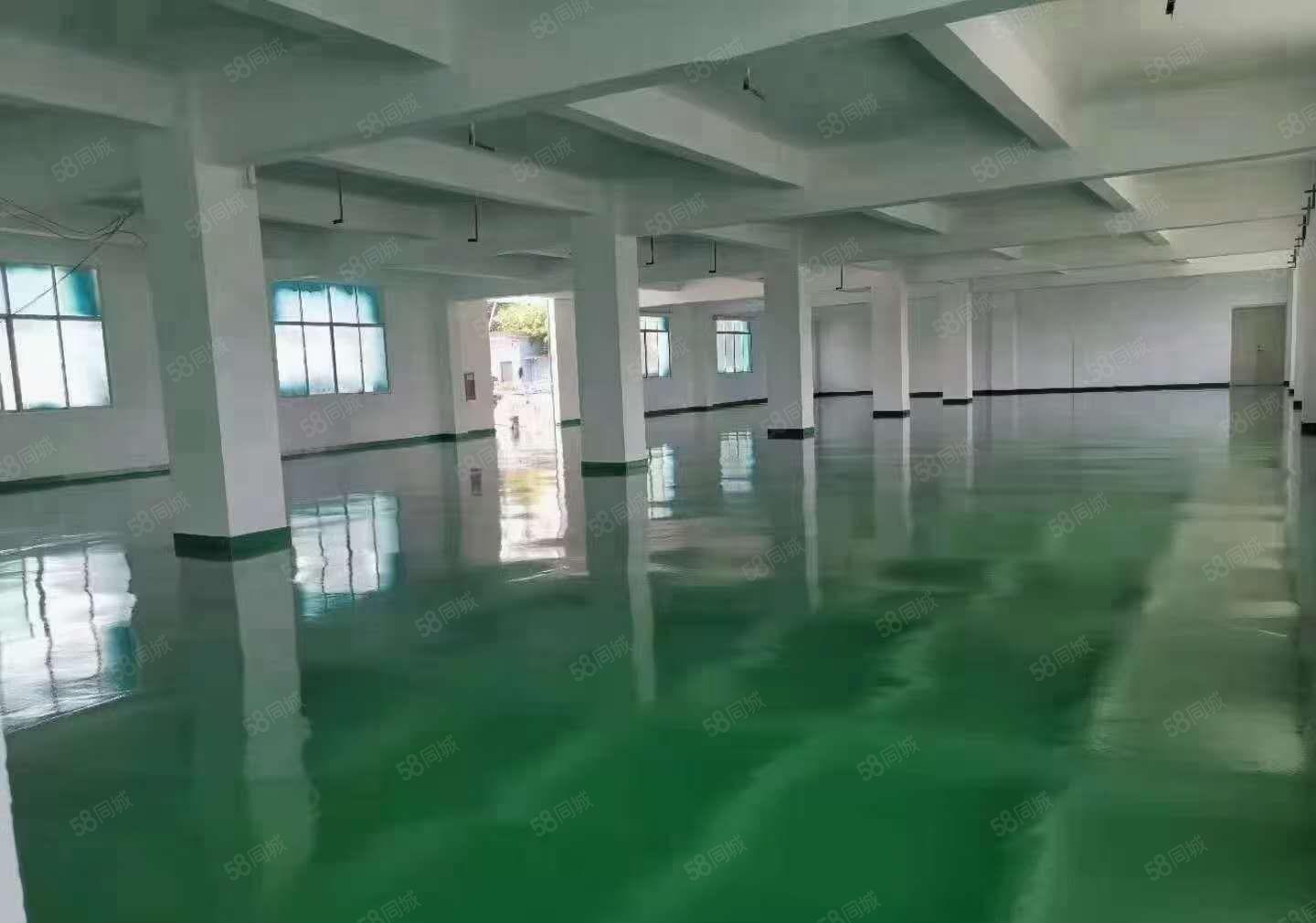 龙岗独门独院厂房出租6500平共8套坪地同乐坪山20元一平