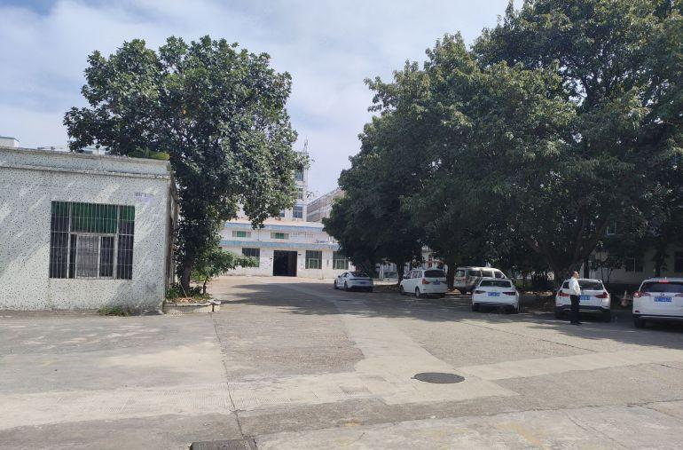 龙岗中心城工业园区6000平钢结构低价仓库厂房出租300起租