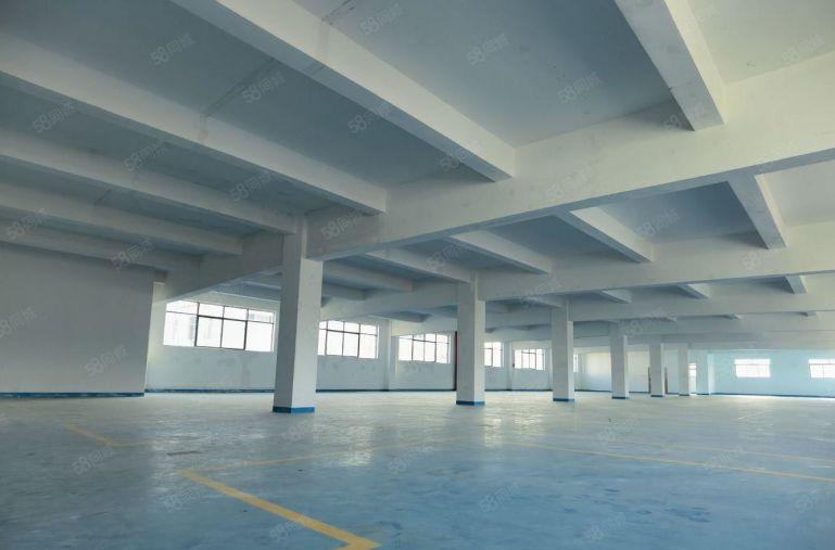 坂田一楼上雪科技园单层2000平米带装修厂房仓库出租