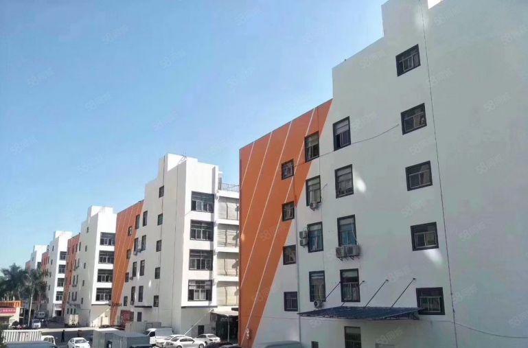 坂田雪象，新出一楼整层4800平，可分租，能进柜车，前后有门