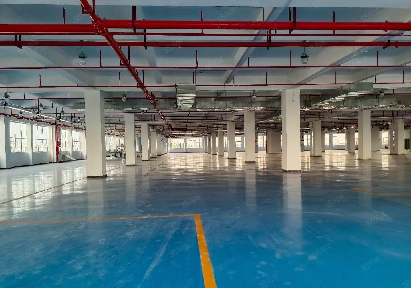 横岗地铁站亚泰工业园原房东红本2楼2000平方带装修水电齐全