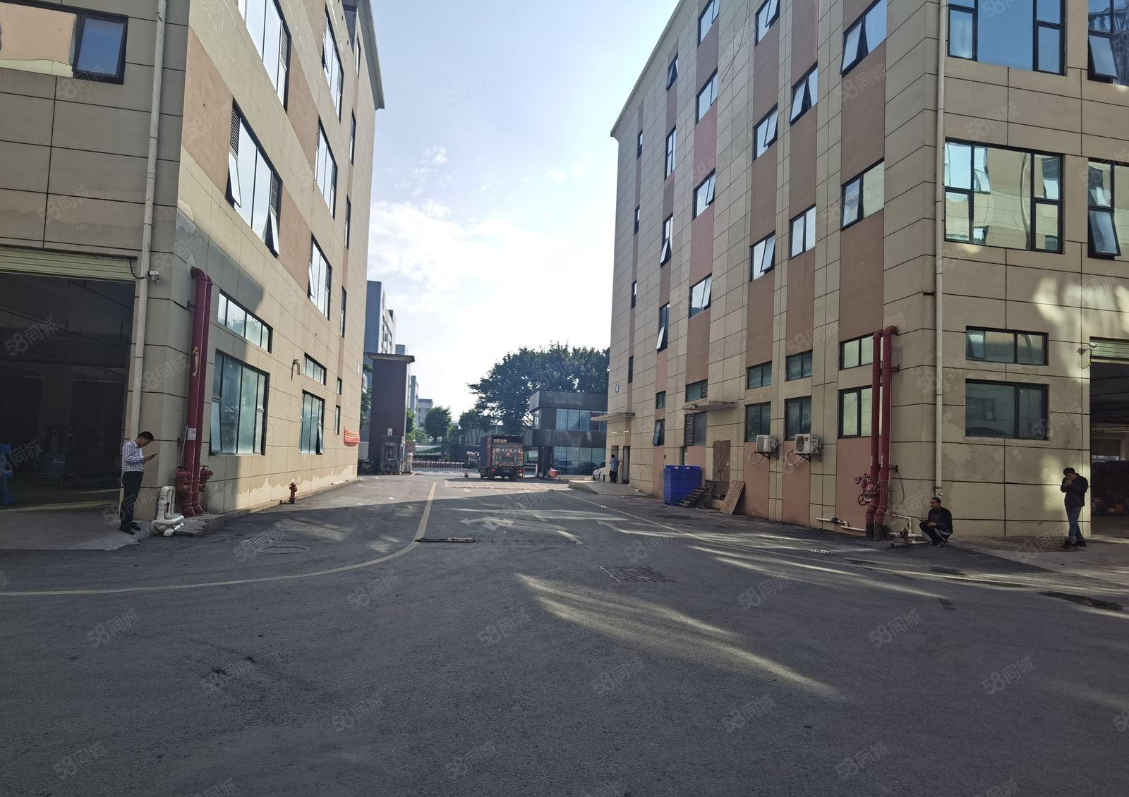 横岗原房东大型园8000平方米独院厂房出租600平方米起分租