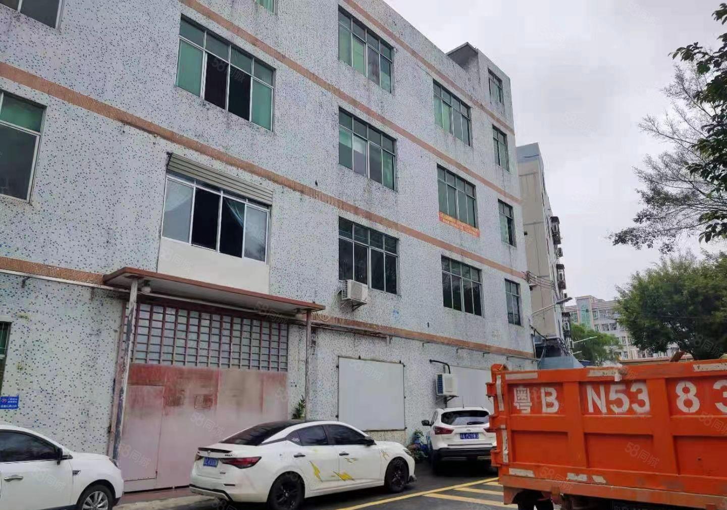 龙东新出 楼上带电梯装修 400平米出租