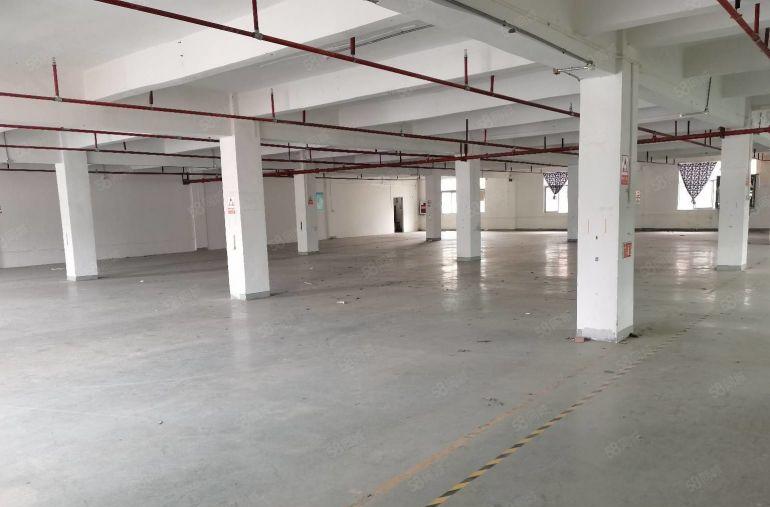 20元起租龙岗宝龙地铁口新出一楼二楼1200平厂房出租可分租