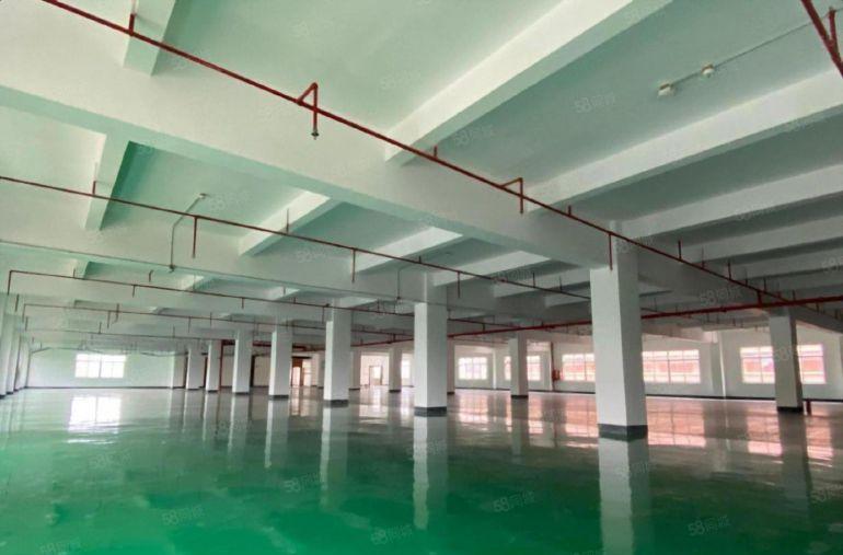 超大空地布吉地铁口原房东红本独院厂房15000平方出租可分租