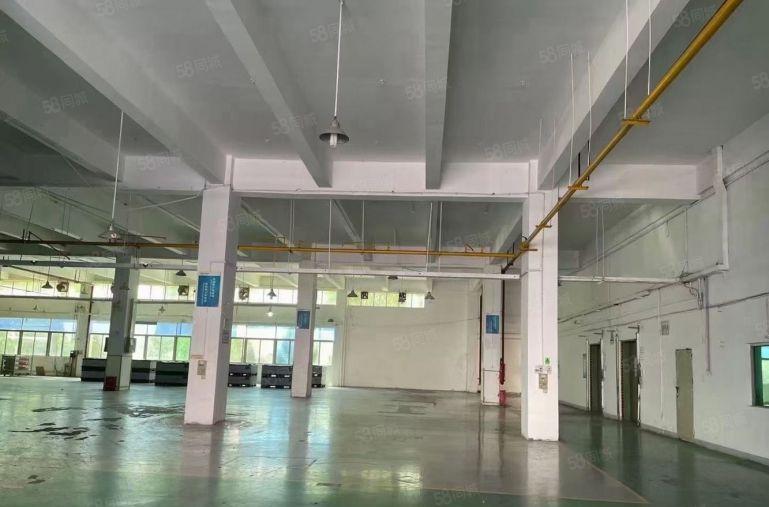 原房东！横岗四联嘉联工业区一楼2200平，公摊小，可分租