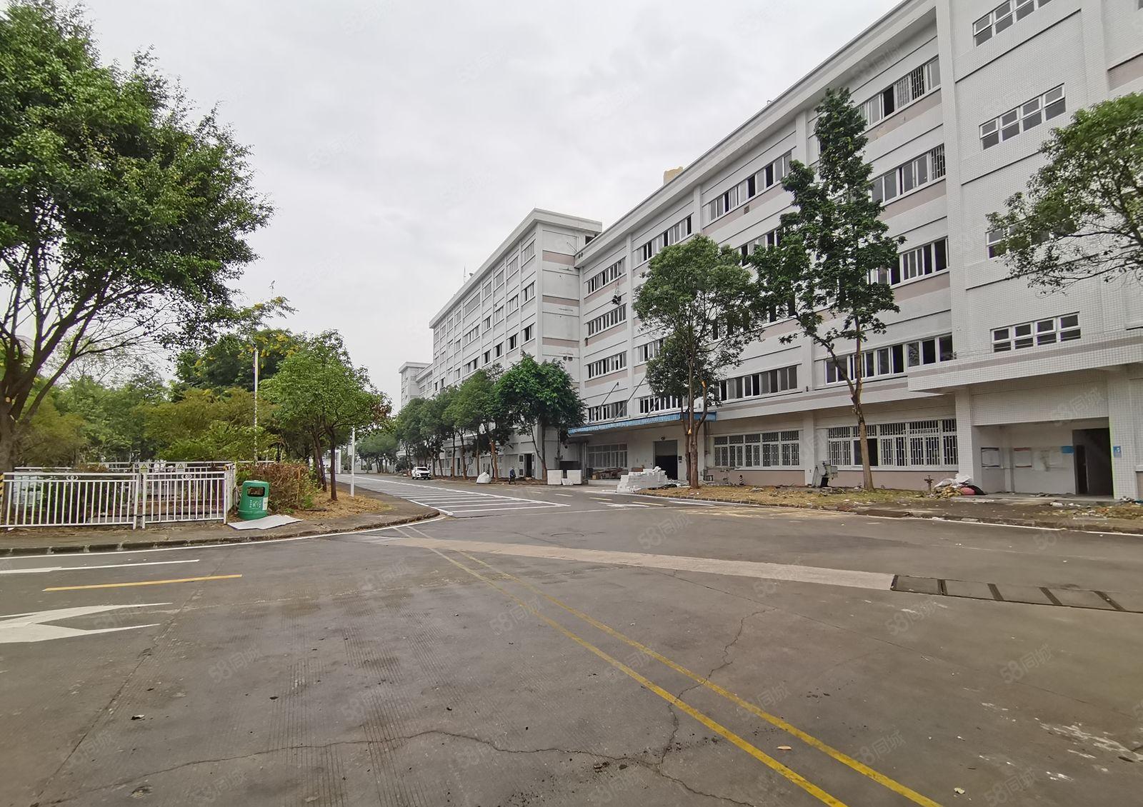 200平起租坂田大型工业园精装修电商办公室仓库厂房出租可分租