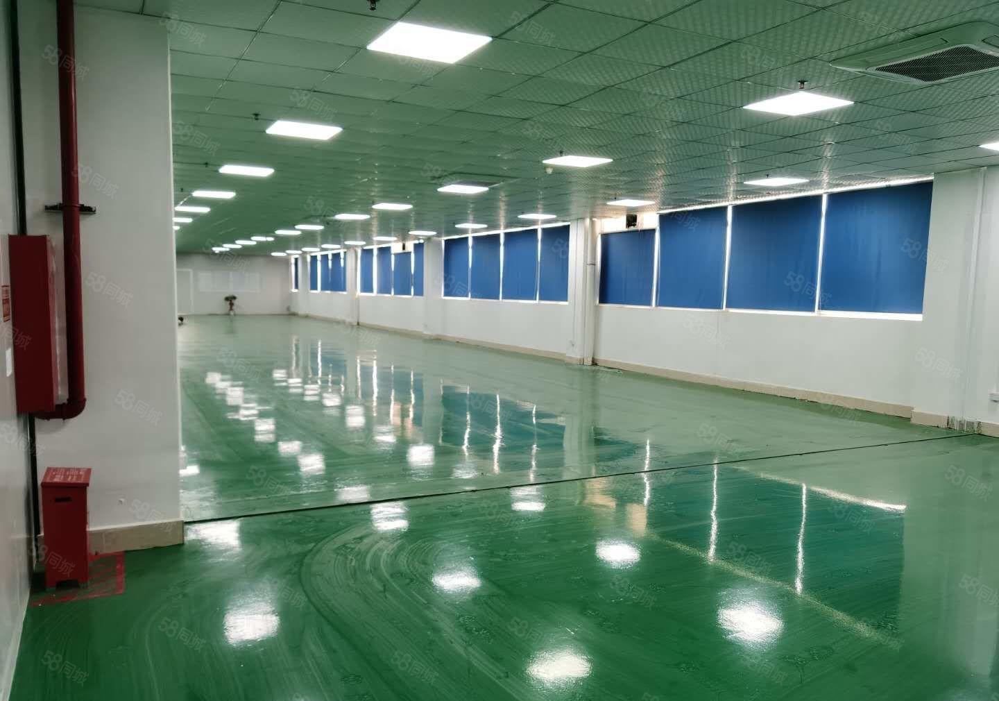 20元起租平湖富民工业区厂房仓库出租原房东价格低易招工