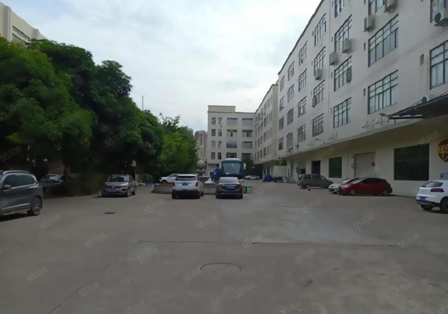 龙岗南联主干道旁800平电商仓库  200平起租公摊小价格低