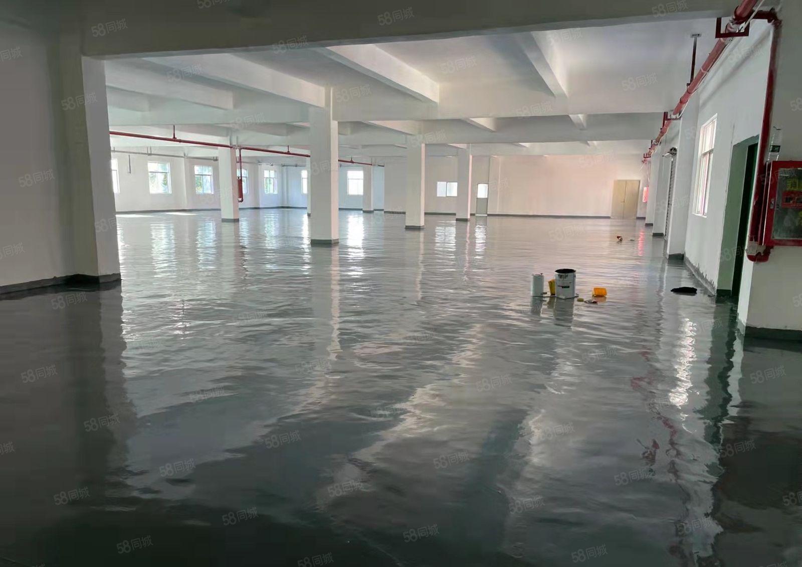 大康328工业区 2500平米 二楼全新装修