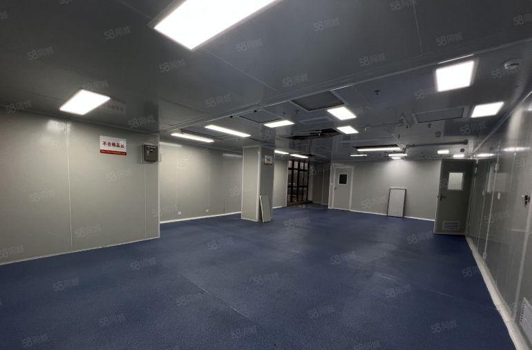 龙岗红本原房东含税实际面积无尘车间1000平方厂房出租带精装