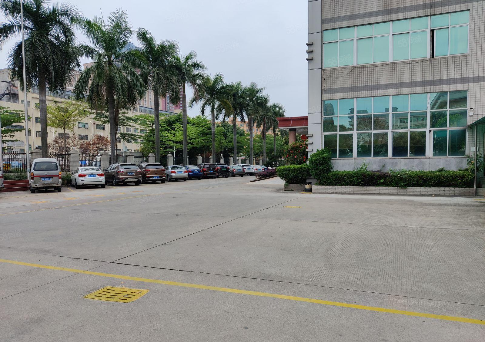 龙岗横岗地铁口红本园区精装修1000平出租大小可分租