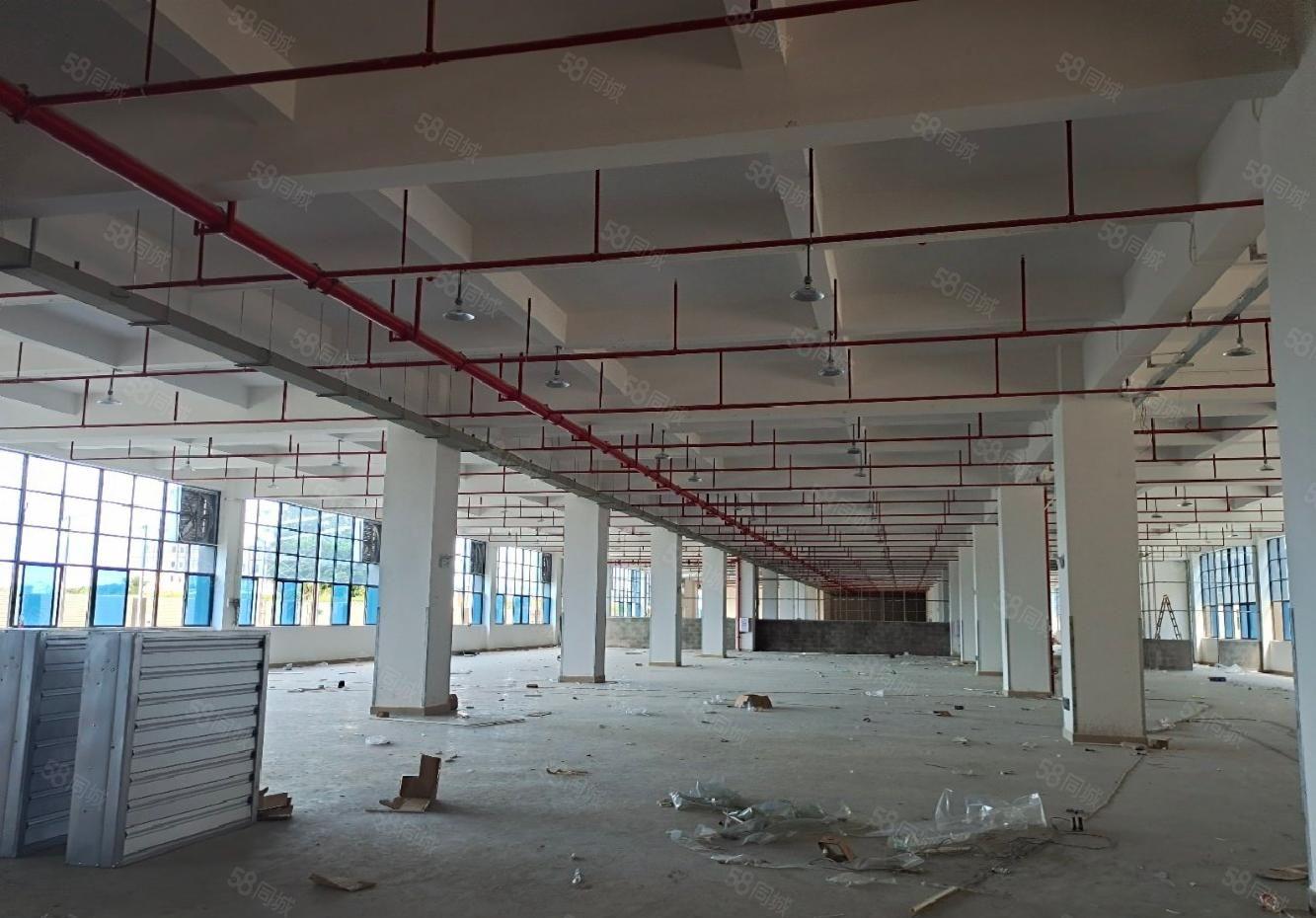 坪山高新区1000平至5000平一二楼仓库厂房出租独院可分租