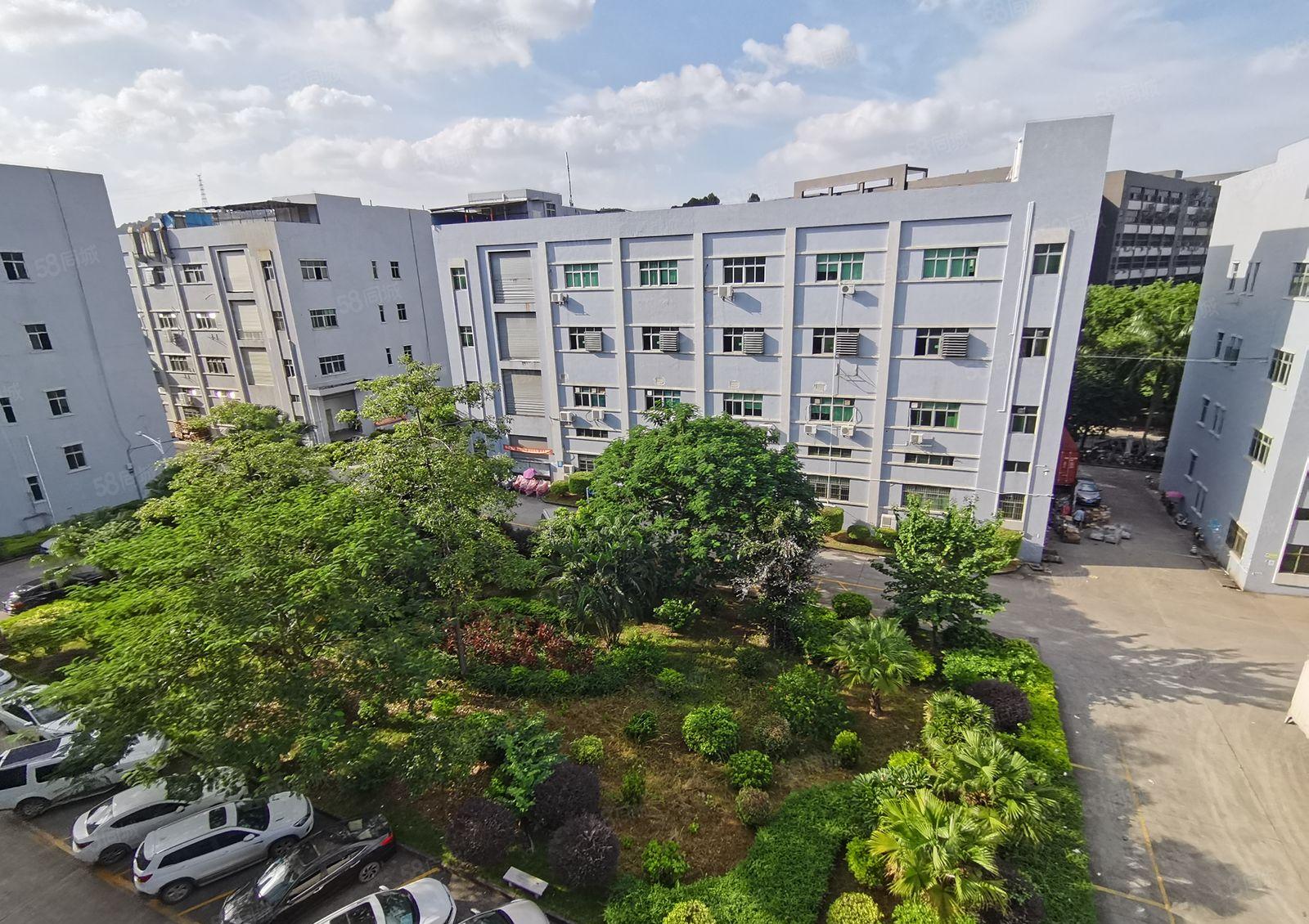 龙岗爱联工业园一楼850平厂房出租园区空地大可进大车免费停车