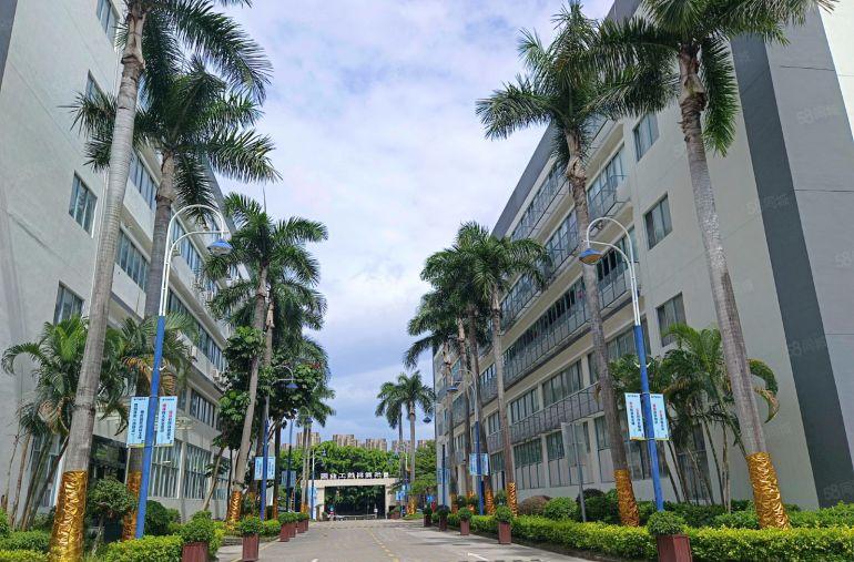 龙岗中心城地铁站大型电商园100至500平精装办公室厂房出租