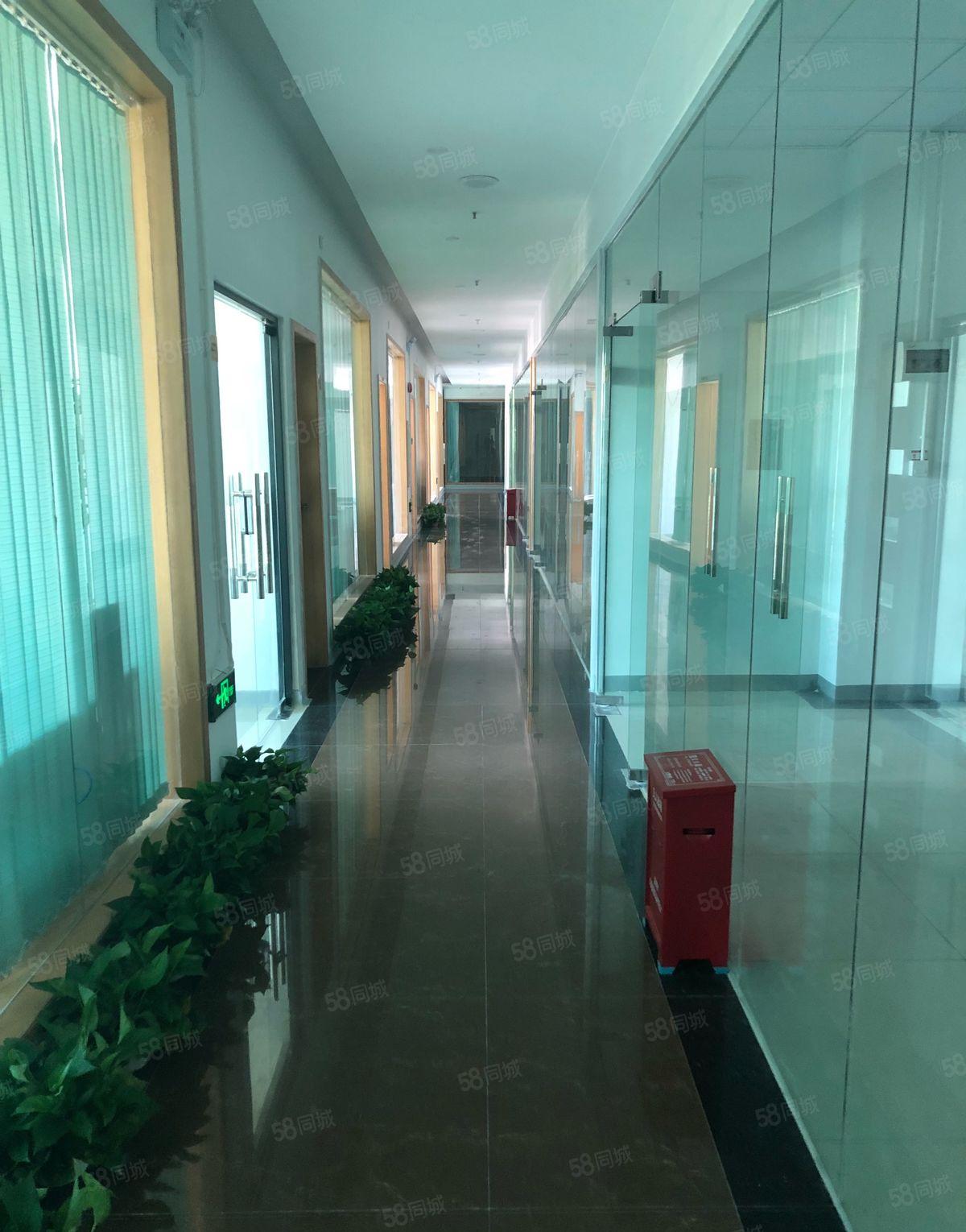 坂田天虹附近楼上168平238平300平450平带装修