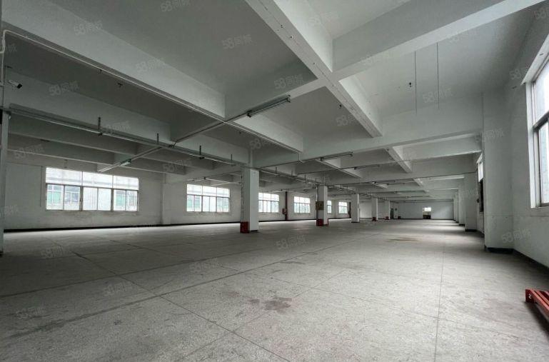 超长免租期，横岗六约珠宝基地500平，大小分租，不限行业