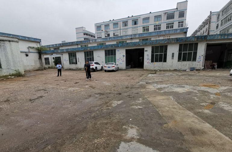 坂田杨美5000平独院单一层厂房出租高度8米可做仓库和体育馆