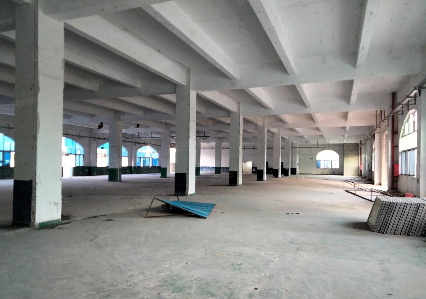 （出租）龙岗中心城原房东独门独院精装修红本厂房大小分租