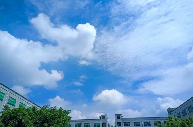 宝龙高新科技园红本原房东60000平厂房出租500平起分租