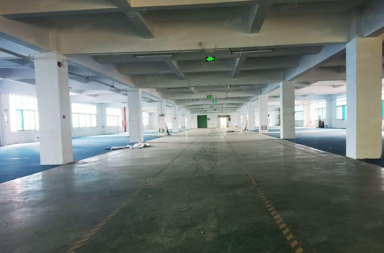 原房东厂房实际面积，龙岗区双地铁口，高速路口独门独院低价出租