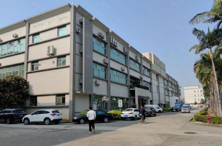 开发商直租免租期3个月，水电齐全带精装办公室合同可签8年