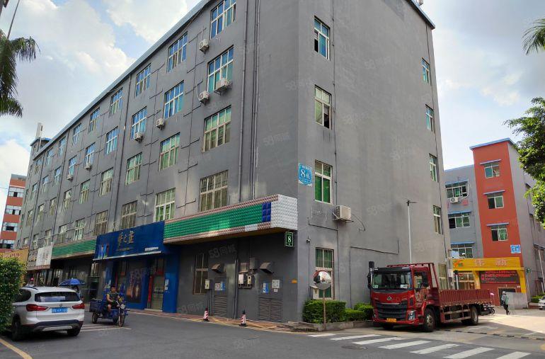 龙岗南联地铁口750平精装修办公仓库厂房低价出租200平起租