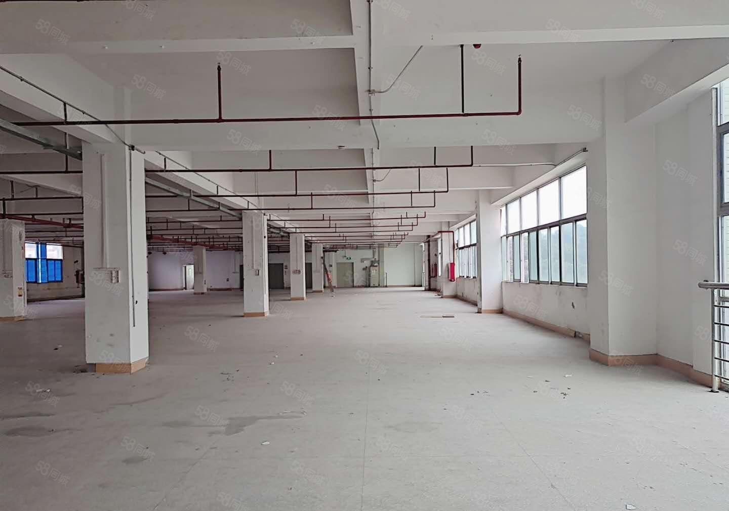 26元清盘价！坂田岗头200平起分，办公室厂房仓库低价出租