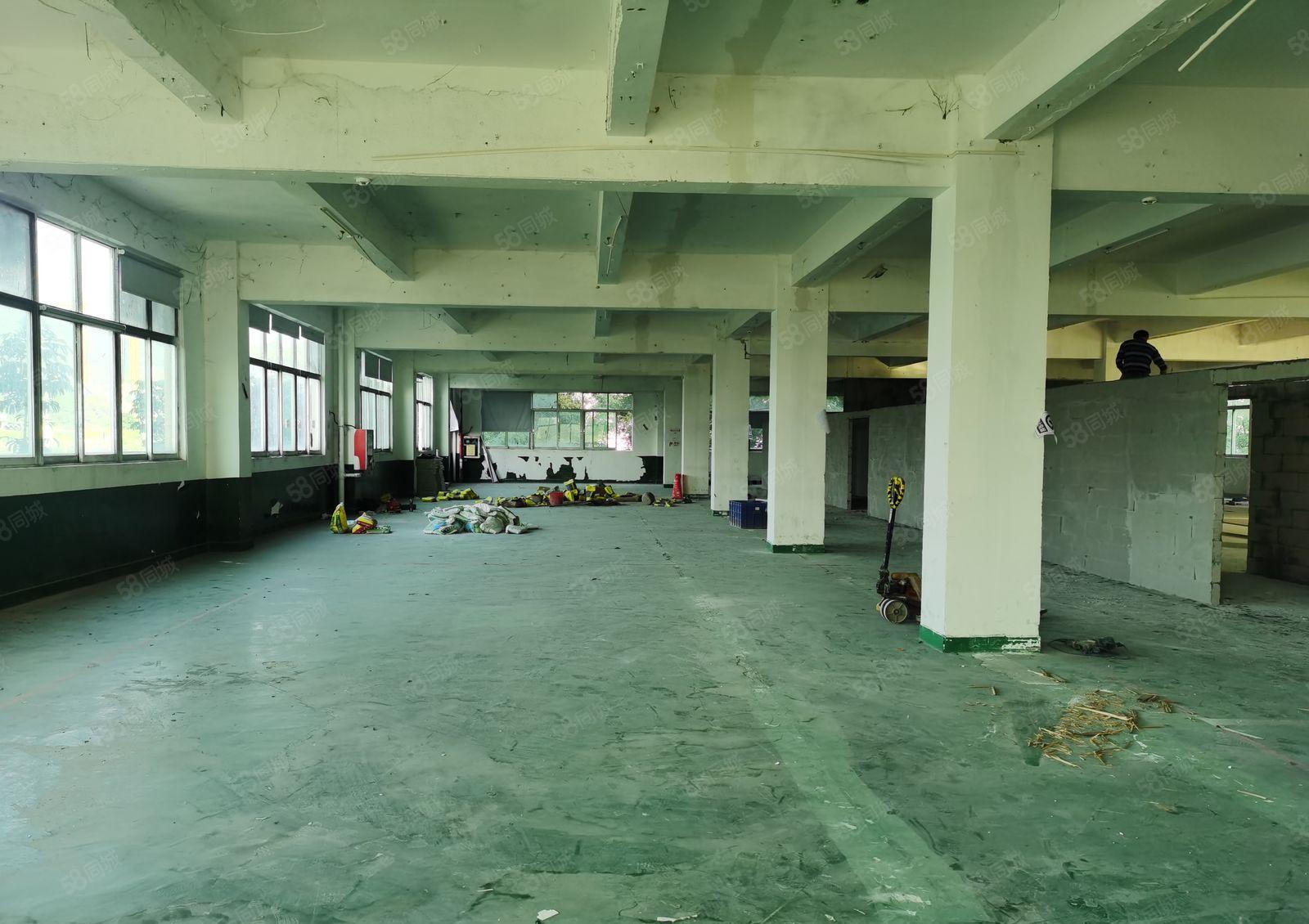 岗头地铁站135平起租办公仓库厂房出租，已隔好，实用高