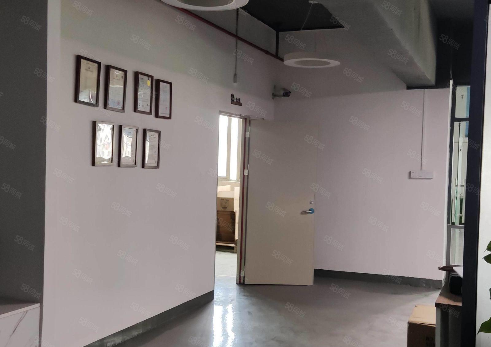 南联新出带电梯带装修540平米 出租