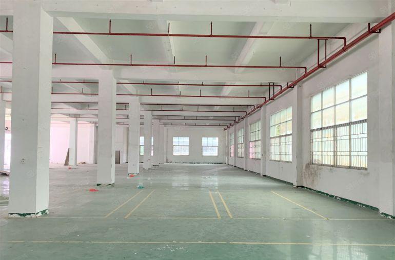 平湖禾花工业园独栋厂房9600平厂房仓库出租可分租水电齐全