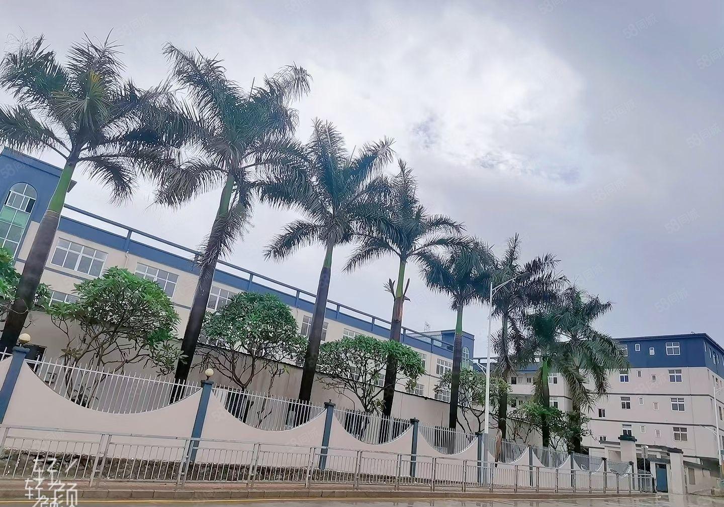 龙岗爱联独门独院标准厂房一楼1100平方，大小可分租