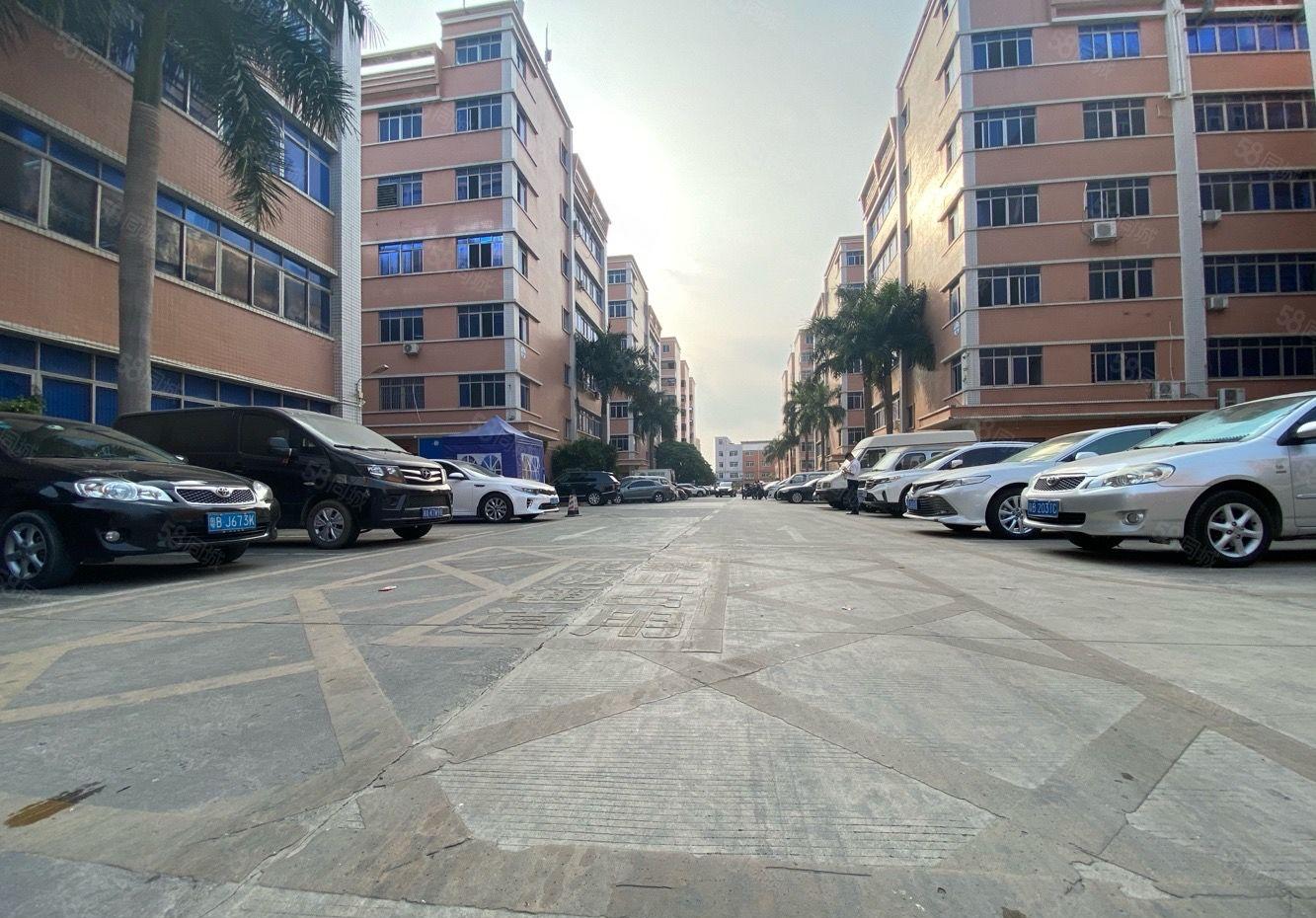 丹竹头原房东红本315至1080平厂房出租园区空地大可进柜车