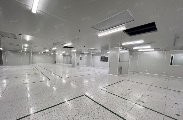 龙岗高新园区原房东无尘车间厂房1550平方出租带精装修办公室
