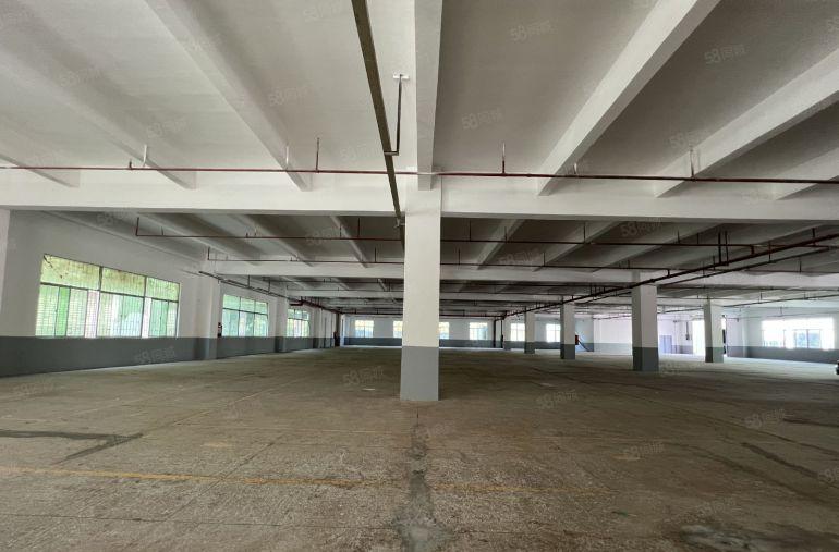 布吉丹竹头原房东独门独院一楼1250平厂房出租空地大好招工