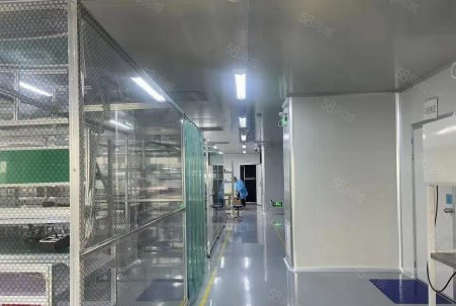 龙华大浪高新科技园2000平豪装无尘车间不用转让费