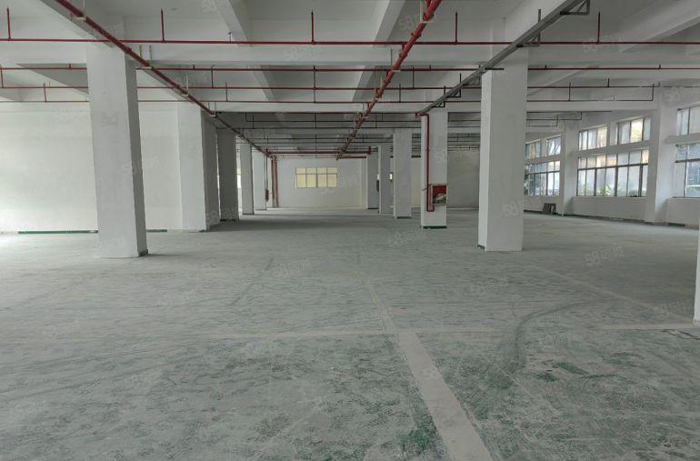 布澜路原房东业主直租