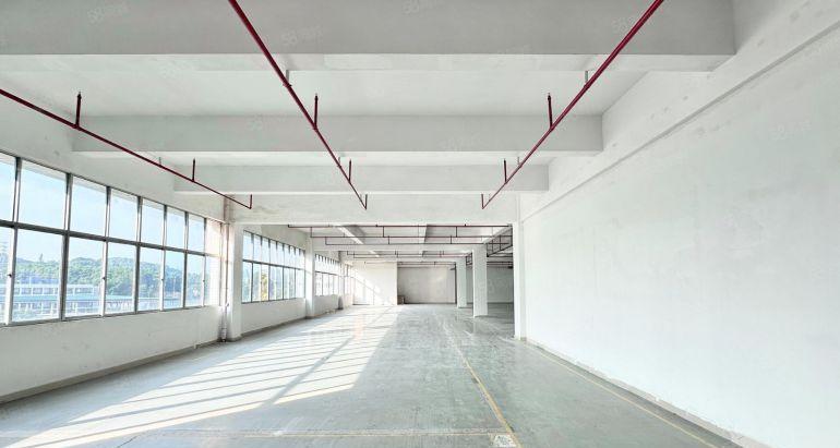 300平起！大芬电商园2200平电厂房出租仓库可分租水电齐全