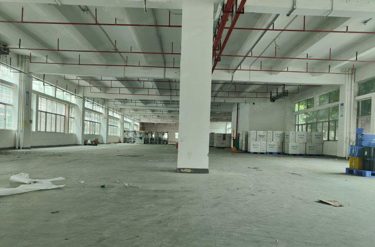 布吉原房东工业区2000平厂房一楼出租红本可分租能办环评