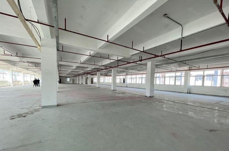 布吉百鸽笼独门独院原房东带红本厂房出租1500平200平起租