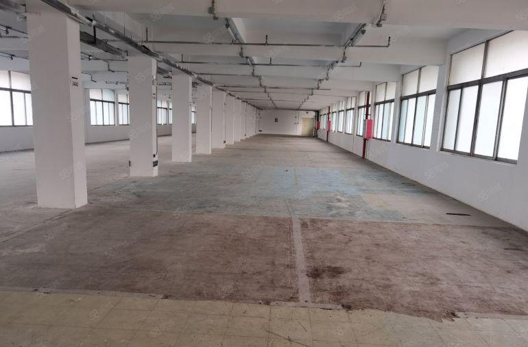 布吉布沙路南岭新出2楼830平房产证红本村委一手使用率高出租