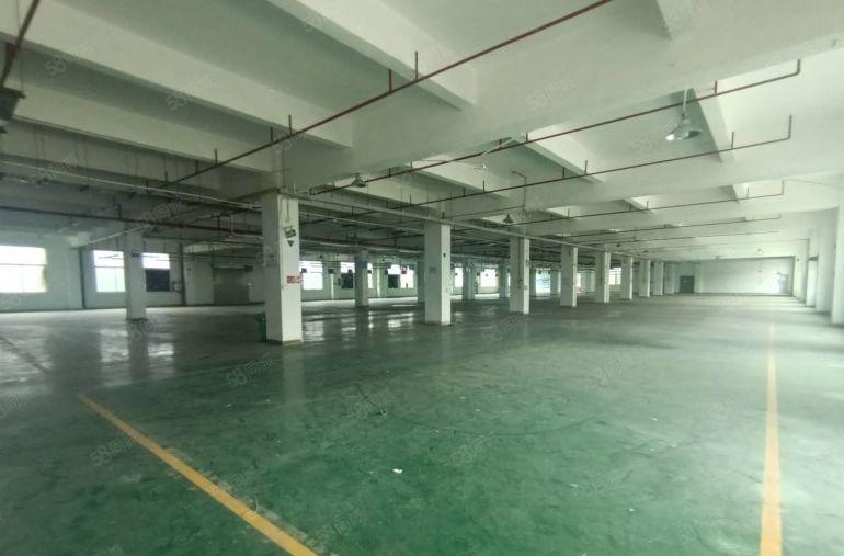 布吉南岭工业区业主厂房出租一二楼各1000平米可分租近地铁口