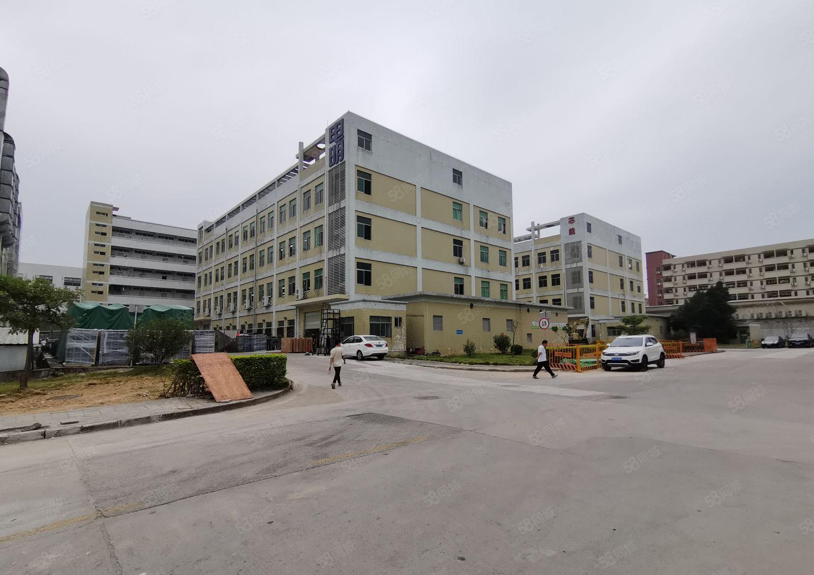 手慢无！李朗珠宝园旁边1300平标准厂房招租大小可分房东隔墙