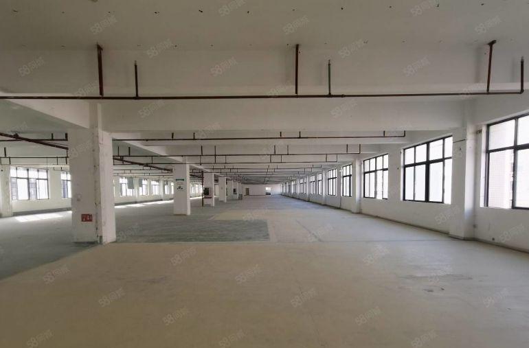 布吉百鸽笼工业园低价直租300至2000平厂房仓库出租可分租