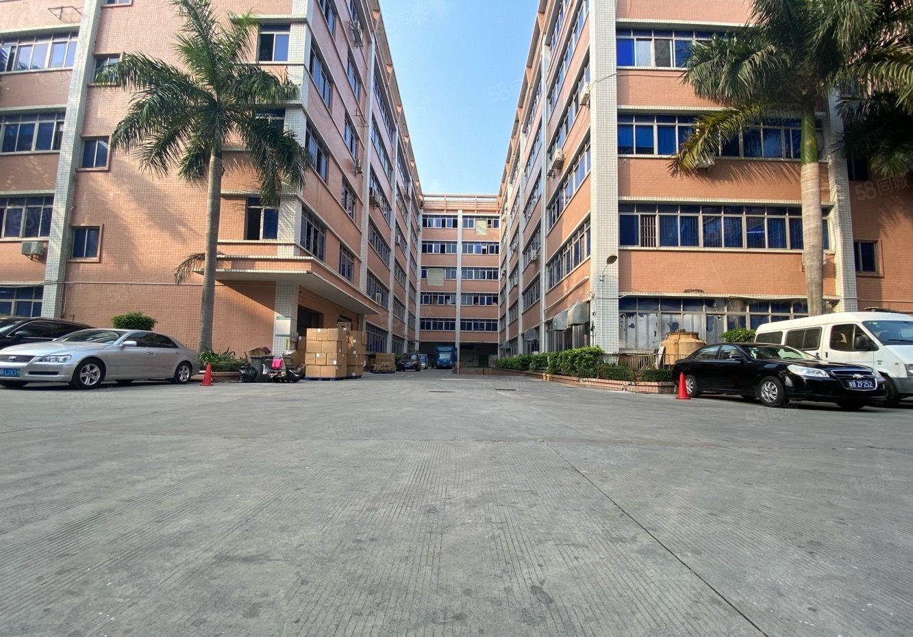 丹竹头原房东红本315至1080平厂房出租园区空地大可进柜车