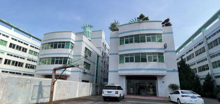 易招工超长免租布吉新出独门独院6000平精装修仓库厂房出租