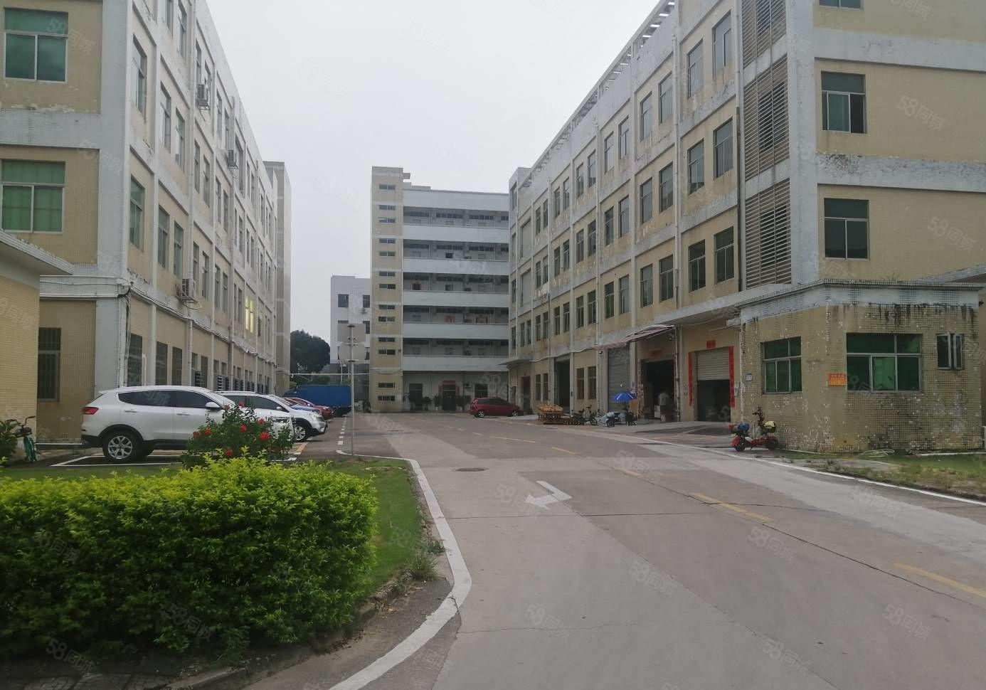 300平起租百鸽笼工业区2万平重工业厂房 带精装修及地坪漆