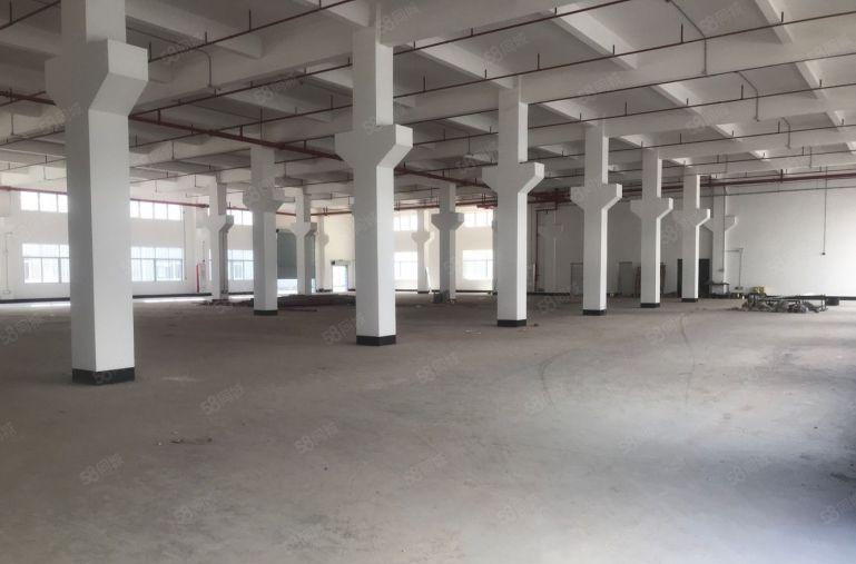 布吉地铁口旁红原房东2000平方电商仓库厂房出租，价格实惠！